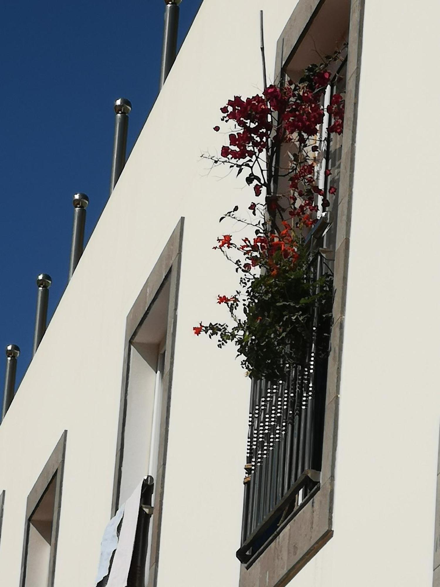 Puerto De Mogan Sonneland Διαμέρισμα Εξωτερικό φωτογραφία